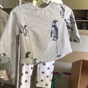 Fall/spring outfit baby girl set